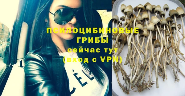 кокс Абдулино