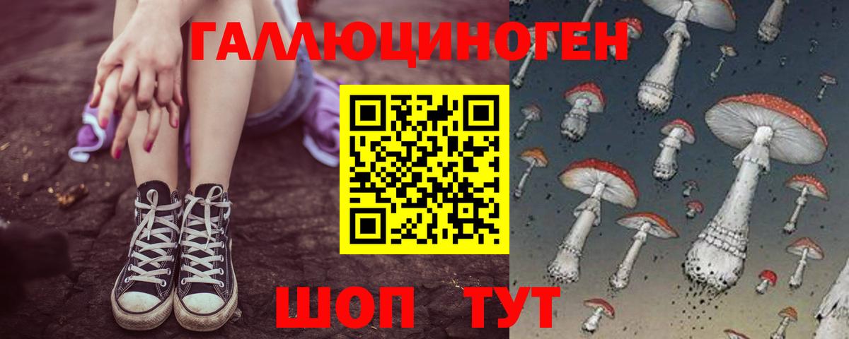 Галлюциногенные грибы Psilocybe Гусь-Хрустальный
