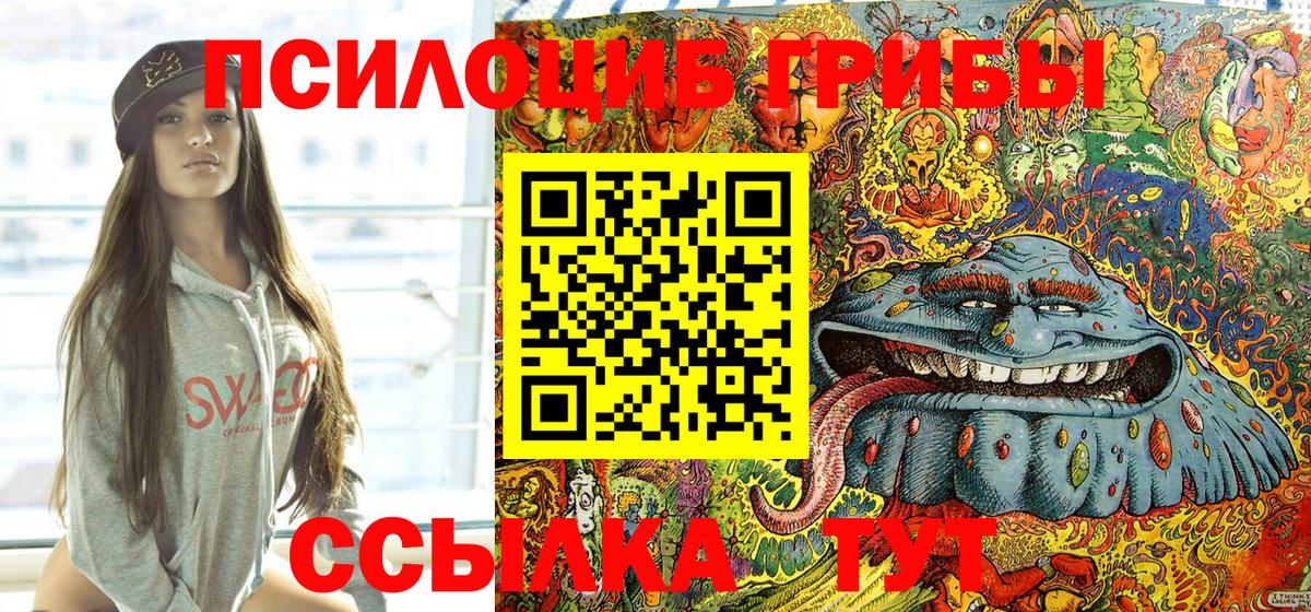 Псилоцибиновые грибы GOLDEN TEACHER  Вход с VPN  Гусь-Хрустальный 