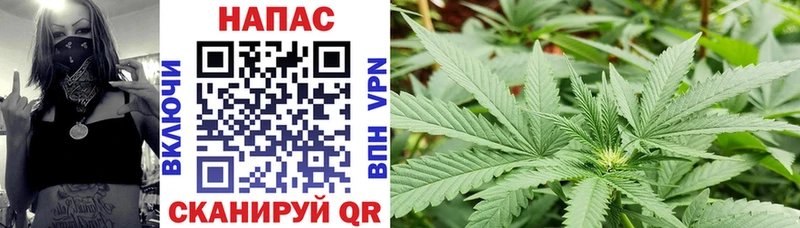 купить наркотик Гусь-Хрустальный Бошки Шишки LSD WEED