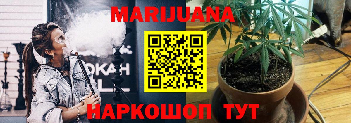 Канабис семена  Бошки марихуана гибрид  Вход с VPN  Гусь-Хрустальный  Каннабис Ganja 